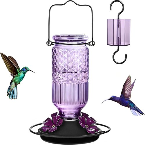 FEED GARDEN Glass Hummingbird Feeder - 16 Oz Purple & 20 Oz Red | Durable & Stylish Design