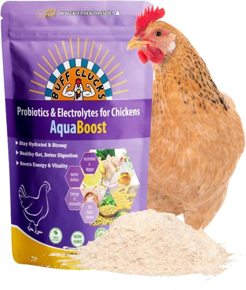 Buff Clucks AquaBoost Probiotic & Electrolyte Powder for Chickens - Natural Hydration & Gut Support - 8 oz