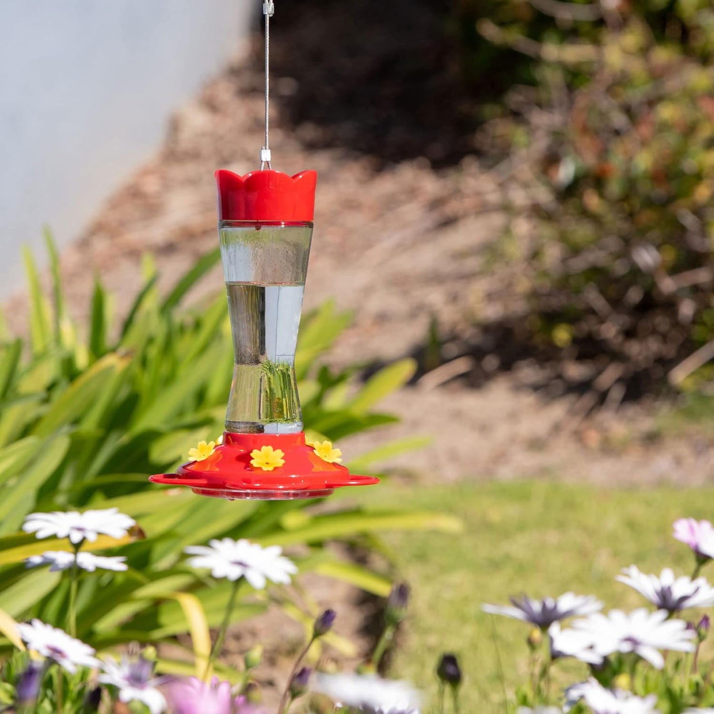 MEKKAPRO Glass Hummingbird Feeder - Ant & Bee Proof Design with 5 Feeding Stations | Bright Red, 10 Ounces