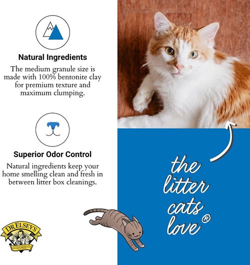 Dr. Elsey's Clumping Cat Litter - Ultra Unscented Formula | 40 lb. Bag for Odor Control