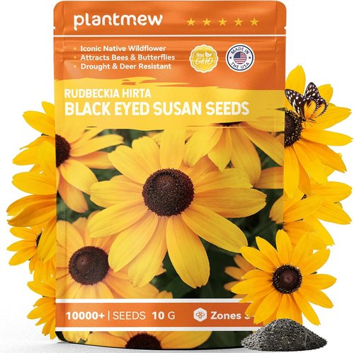 Black Eyed Susan Seeds - 30,000+ Non-GMO Heirloom Flower Seeds for Gardens & Pollinator Attraction