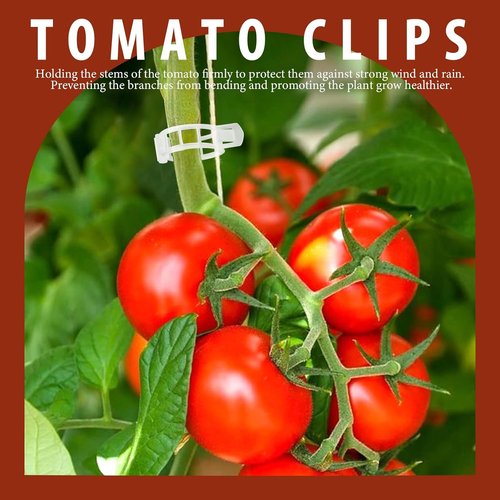 FANDAMEI Plant Support Clips - 300 PCS Plastic Garden Ties for Tomatoes, Cucumbers & Vines | 1” Inner Diameter