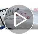 Ceekliybear 2-Pack Dinosaur Toddler Foam Bed Bumpers, Non-Slip Bed Rails for Twin Queen King, 52"x7"x5"