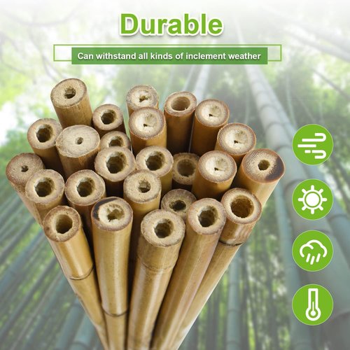 Jollybower 20 Pcs 6FT Heavy-Duty Bamboo Plant Stakes - Natural Support for Tomatoes, Beans & Flowers