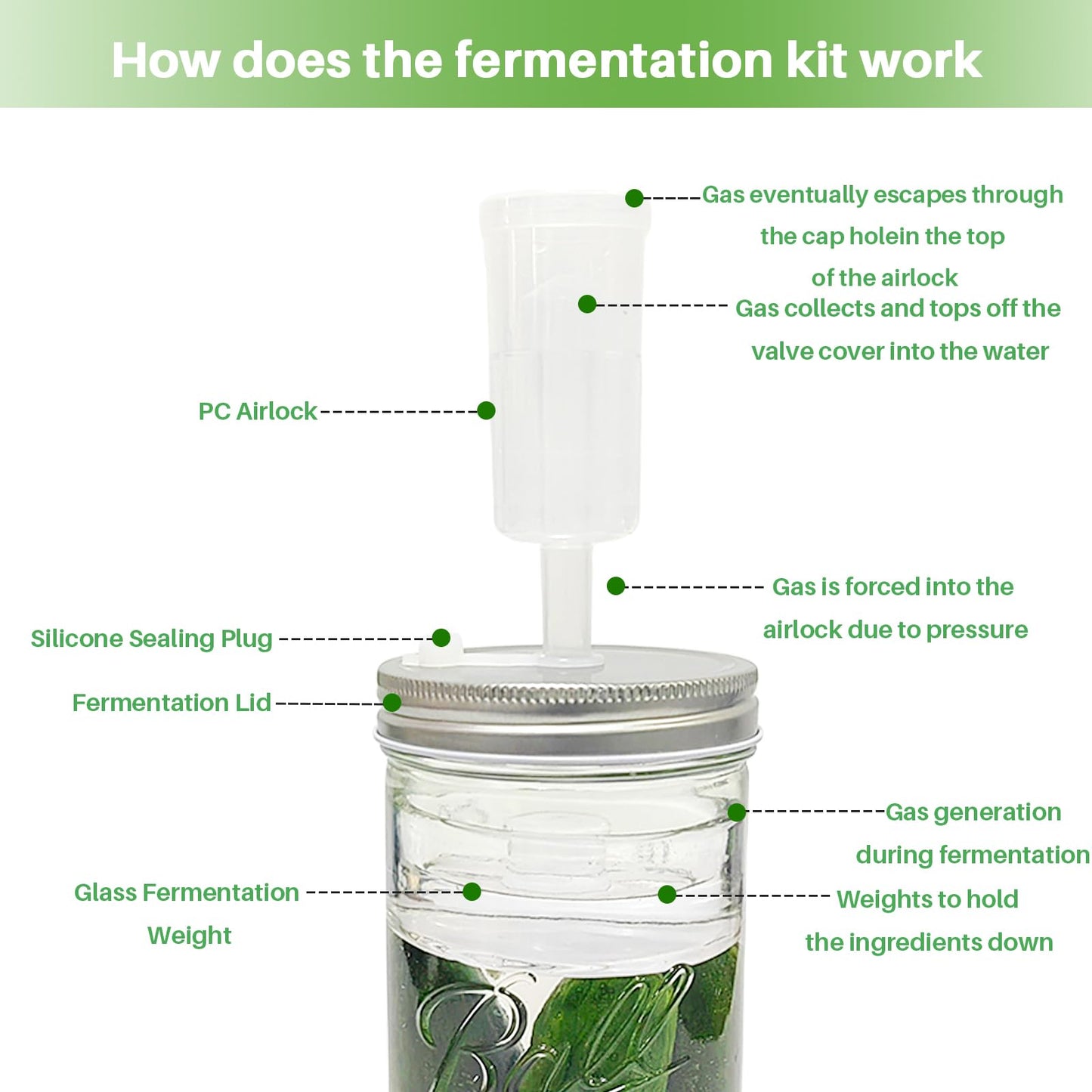 Fermentation Kit for Wide Mouth Mason Jars,Fermentation Kit with 4 Glass Fermentation Weights,4 Fermenting Lids,4 airlocks,5 Silicone Rings,5 Silicone Grommet for Pickling, Canning and Sauce(No Jars)