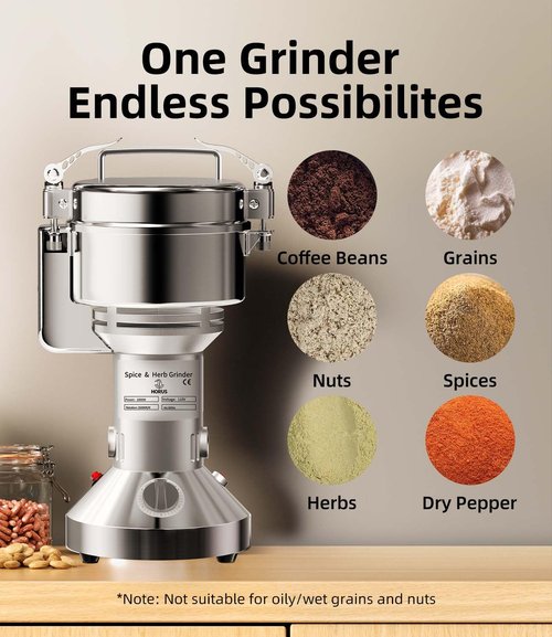 Electric Grain Mill 750g, Flour Grinder Mill Stainless Steel for Home, Counter Grain Grinder for Wheat Berry, Rice, Corn, Herbs, Spices