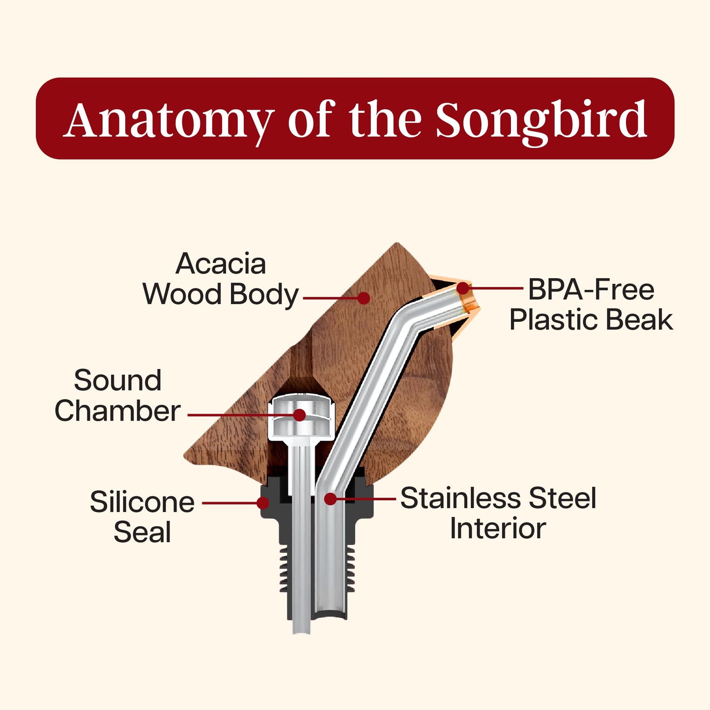Songbird Specialties Wine Bottle Pourer, Fun Wine Pourer Spout Sings While It Pours, Airtight Wine Bottle Sealer, Acacia Wood with Black Wings