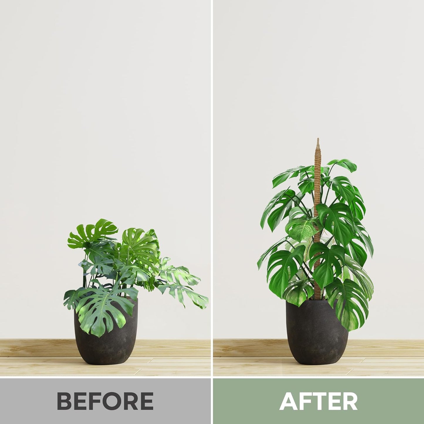 Moss Pole | 2 Pack 28'' Bendable Plant Support for Monstera & Climbing Indoor Plants - Trellis Stakes