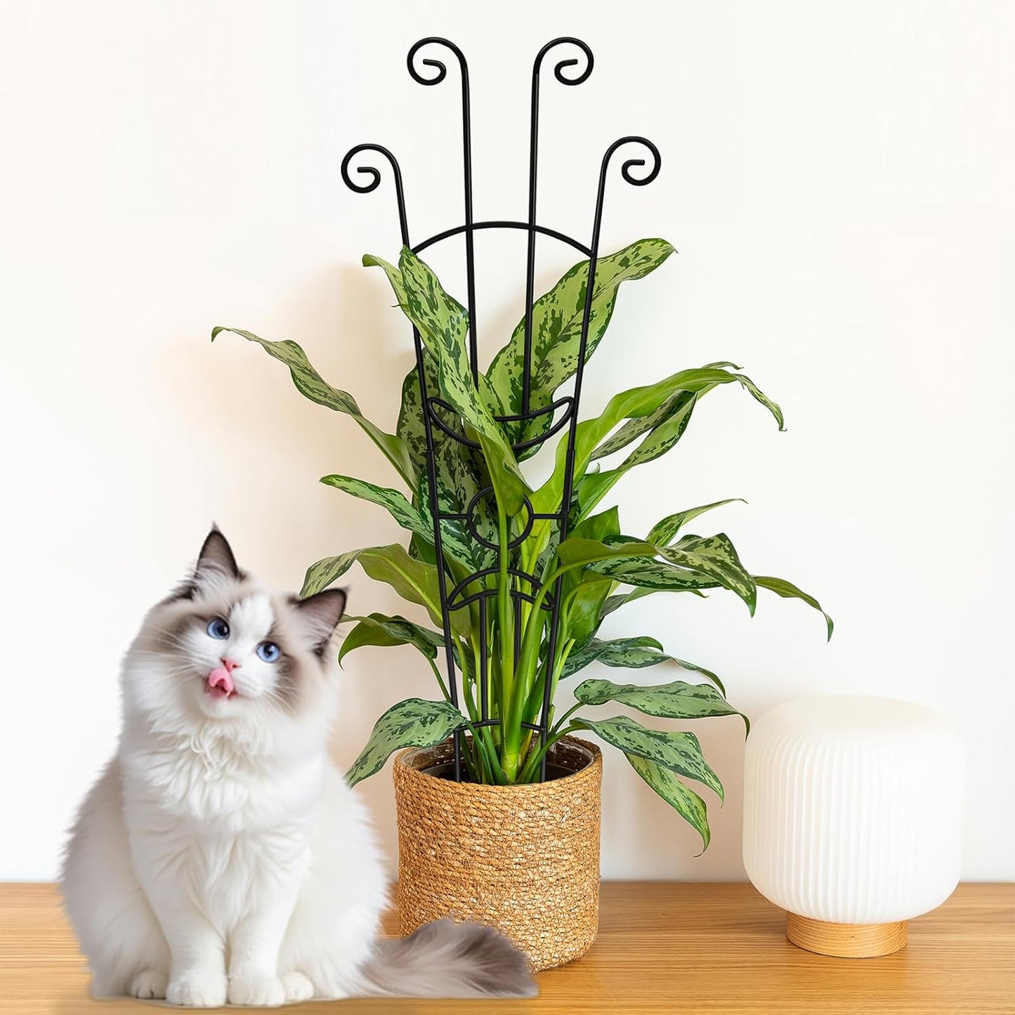 Monstera Plant Support Stakes by [Brand Name] - Durable Metal Trellis for Indoor Climbing Plants | 32.6in, 2-Pack