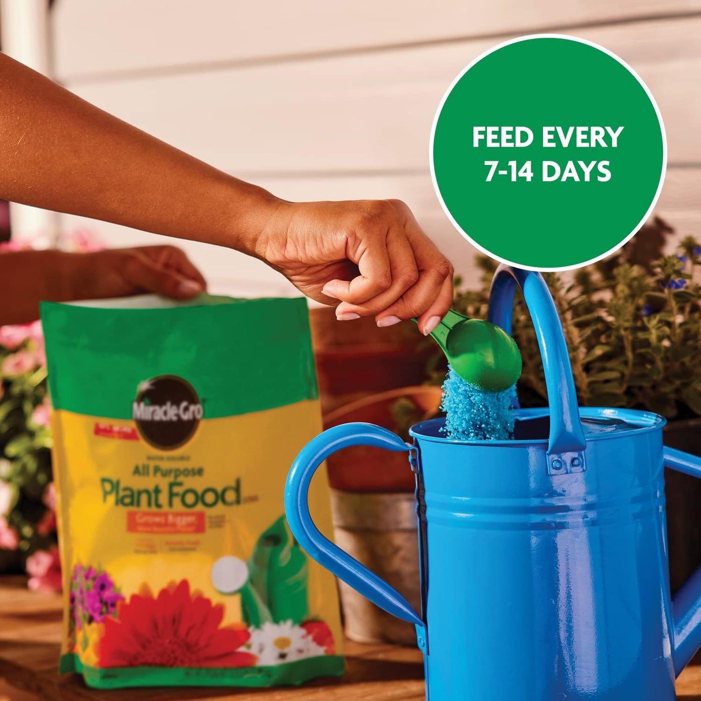 Miracle-Gro Water Soluble Plant Food - All-Purpose Fertilizer for Indoor & Outdoor Plants | 5.5 lbs (2-Pack)
