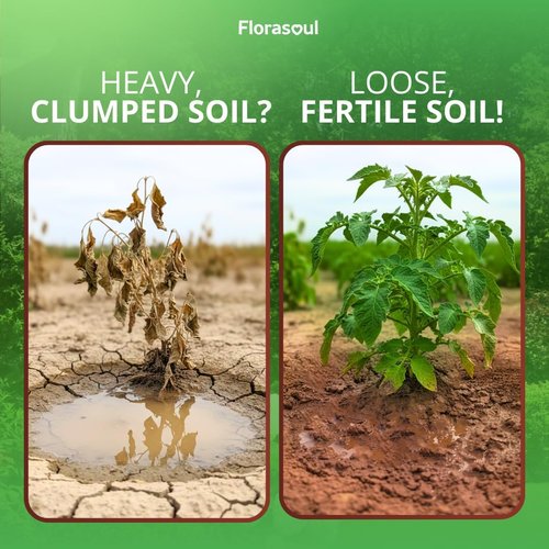 Florasoul® Clay Breaker Soil Amendment - Revitalize Heavy Clay & Compacted Soil (6.6 lbs) | Plant-Based Formula Enhances Drainage & Aeration