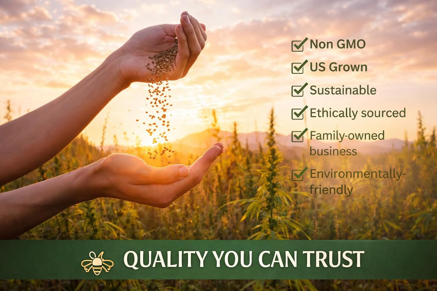United States Nationwide Bulk Wildflower Seed Mix - Ideal for All U.S. Zones | Covers 2,000 Sq Ft (1 Pound)