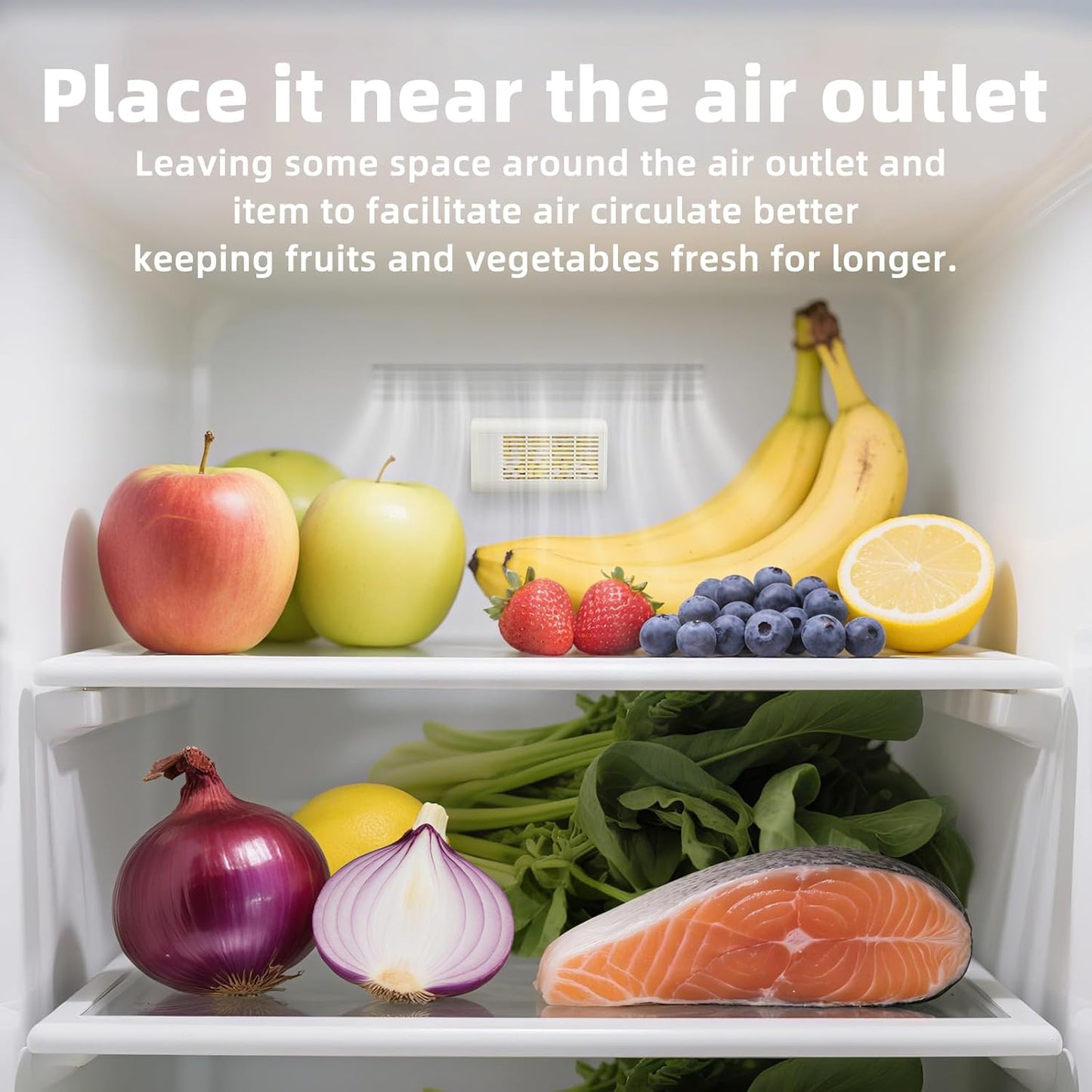 Regine Switzerland Refrigerator Deodorizer - Long-Lasting Odor Eliminator for Freshness | 12-Month Supply
