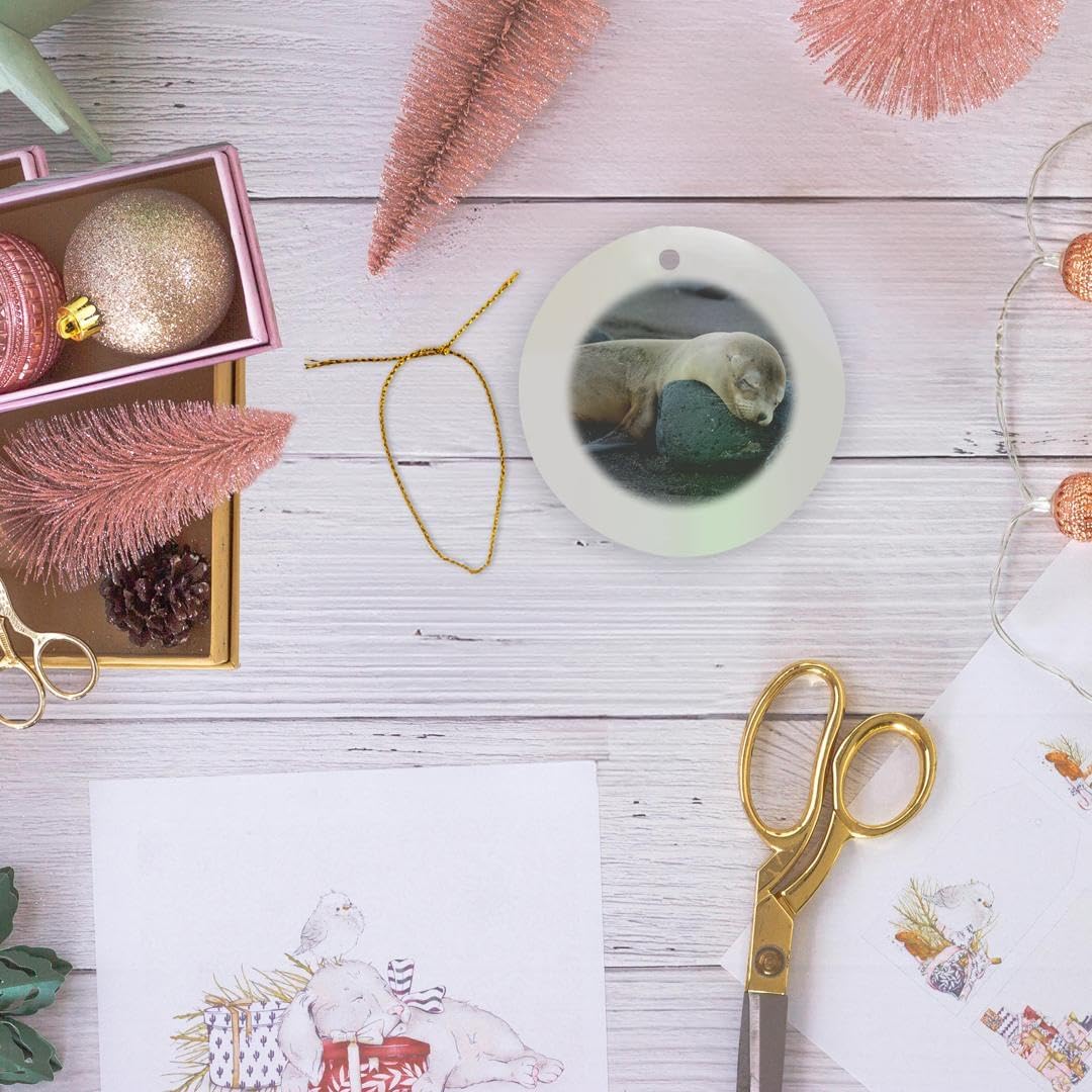 Galapagos Sea Lion Snowflake Ornament - 3DRose Ecuador Santiago Island Decor