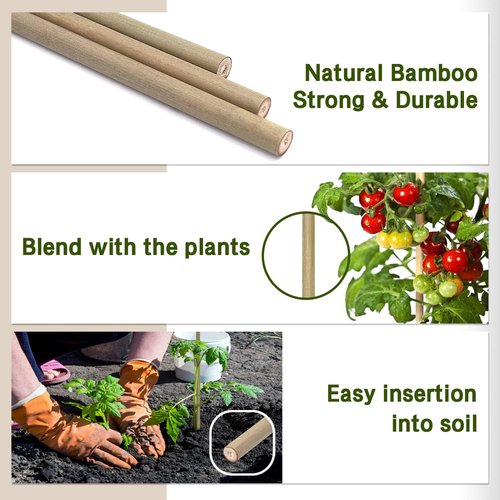 BOVITRO 16-Inch Natural Bamboo Plant Stakes - 20 Pcs Support for Tomatoes, Beans & Potted Plants