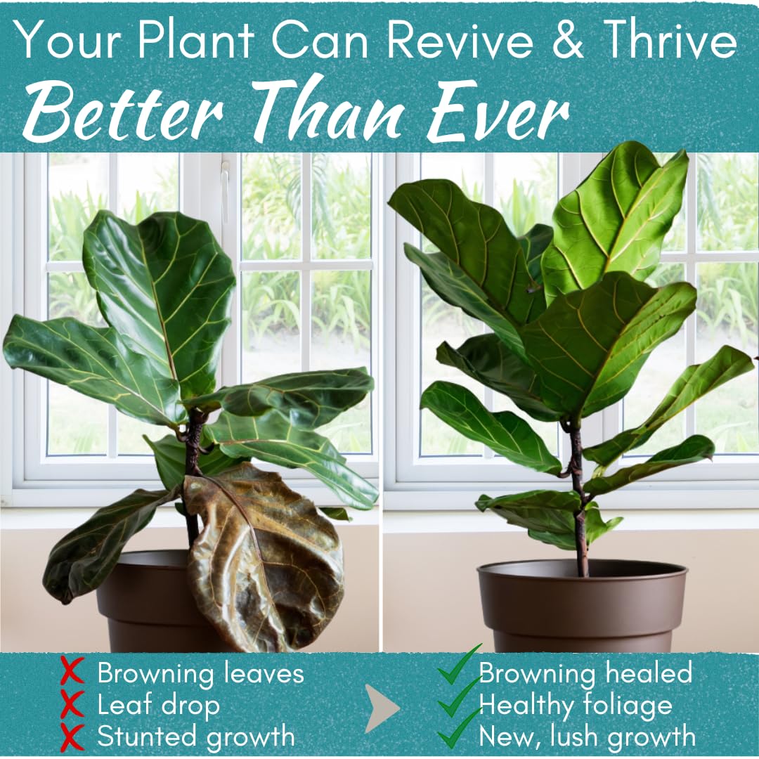Root Rot Repair - Houseplant Recovery Drops for Overwatering & Shock | Heals Roots & Prevents Yellowing (8 oz)