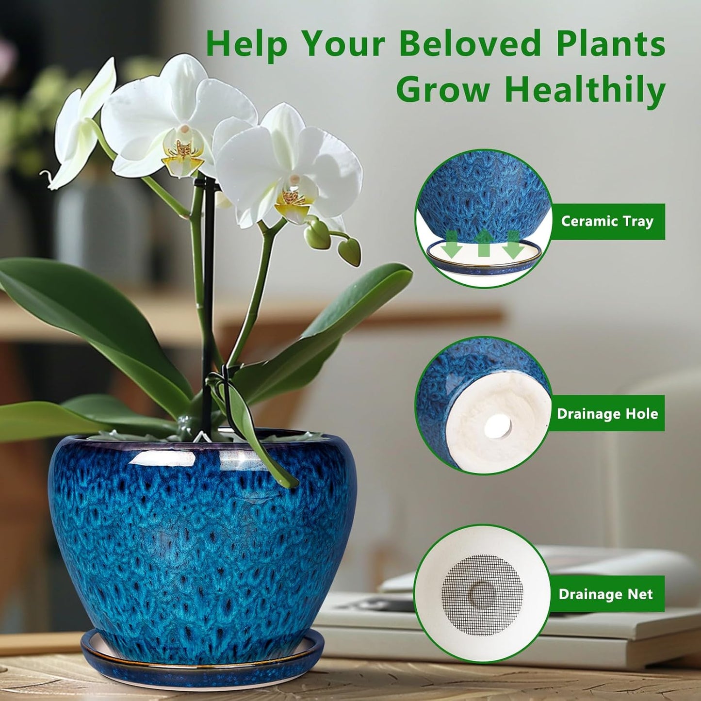 Skiennix Ceramic Succulent Planter Pot - 6 Inch Round with Drainage Hole & Saucer for Indoor/Outdoor Use