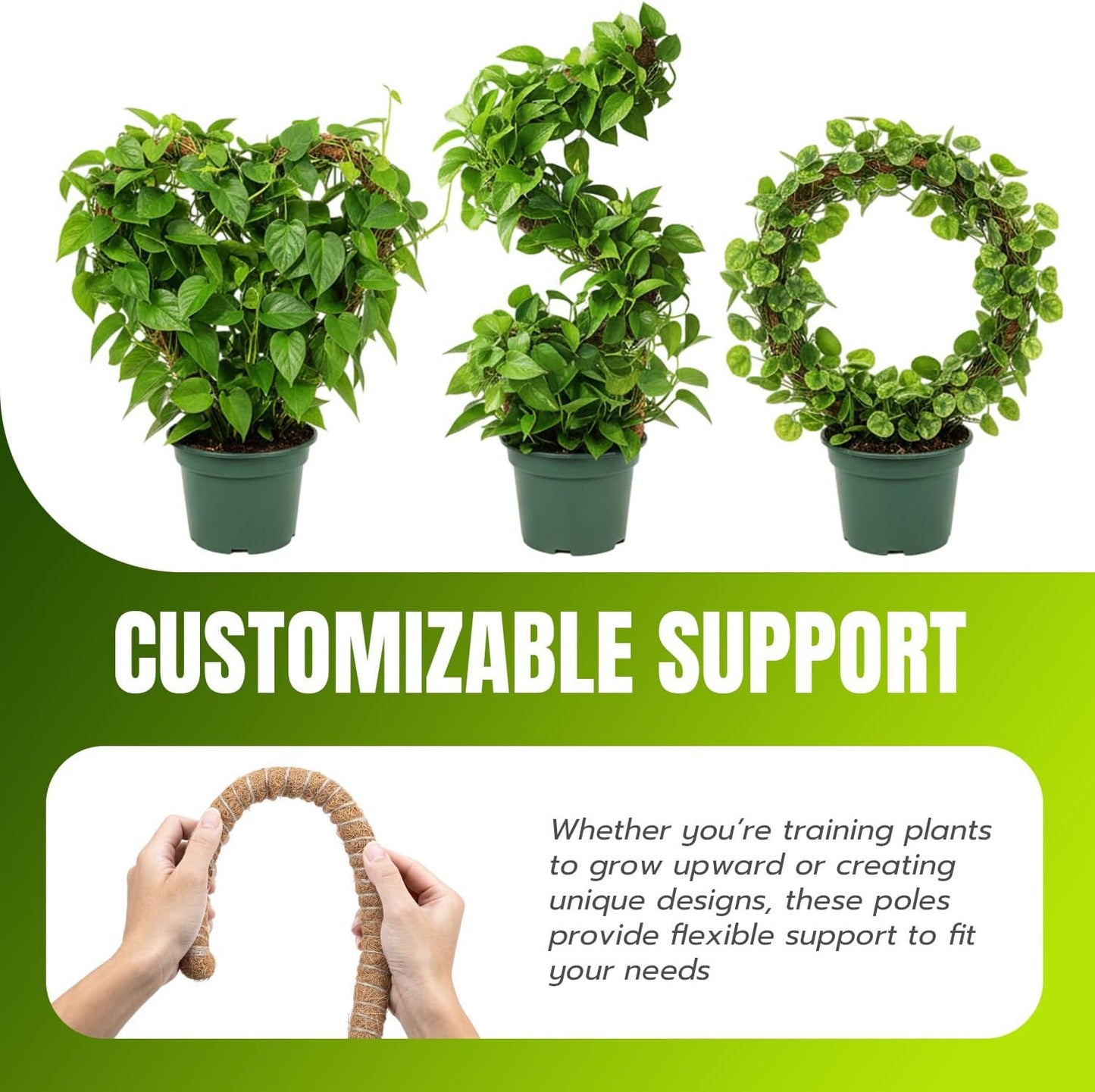 Mcbazel 63-Inch Bendable Moss Pole - Extra Tall 5.2ft Coco Coir Plant Support for Monstera & Climbing Vines | Flexible Kit with Rope & Ties