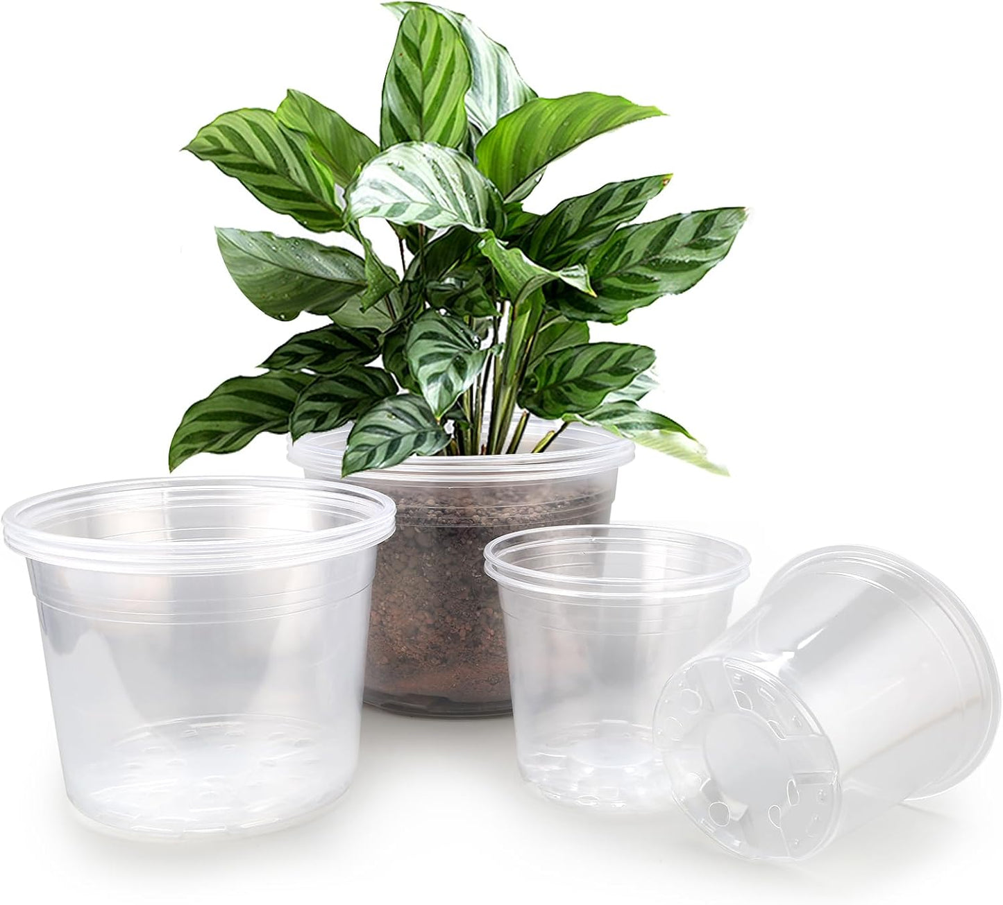 Skiennix Large Clear Nursery Pots - 9 Pack Plastic Plant Seedling Pots with Drainage | 7/8/10 Inch for Indoor & Outdoor Gardening