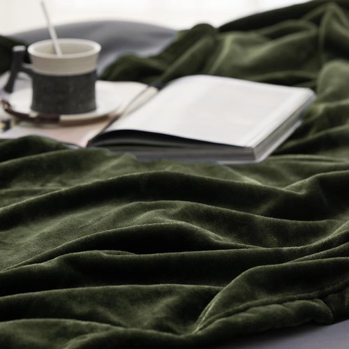 Bedsure GentleSoft Fleece Blanket - Twin Size Olive Green | 300GSM Lightweight Plush Cozy Blanket (60x80 inches)