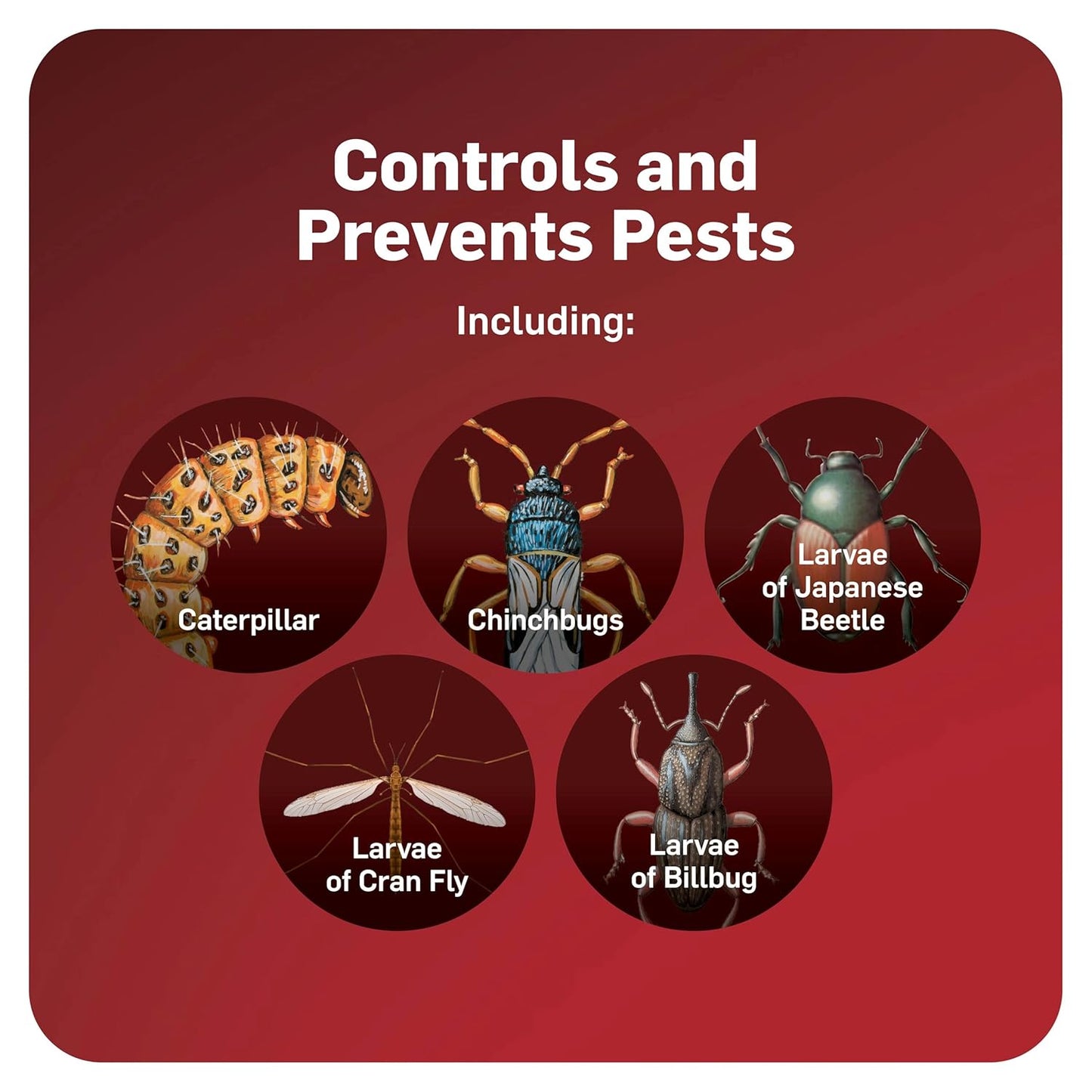 Scotts GrubEx - Season-Long Grub Killer for Lawns - Covers 5,000 Sq. Ft.