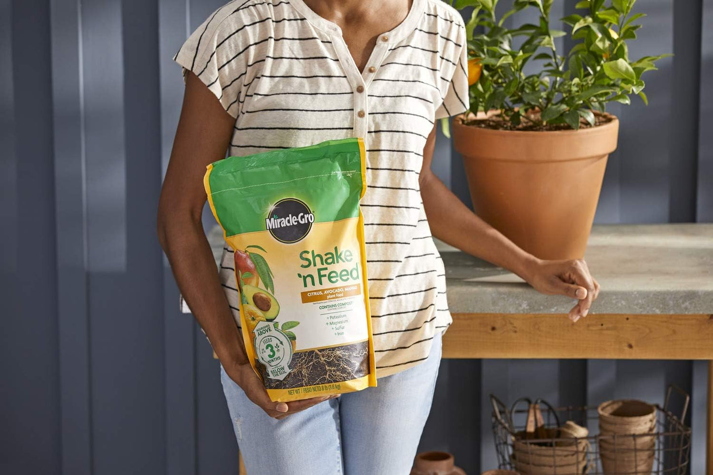 Miracle-Gro Citrus, Avocado & Mango Plant Food - Shake 'n Feed Formula, 8 lbs.