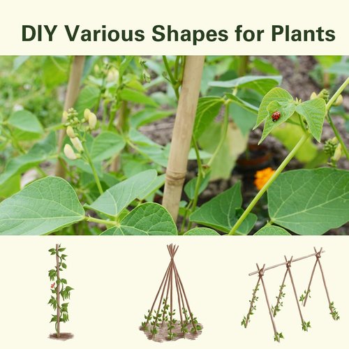 Bamboo Stakes 3 FT - 30 Pack Garden Support Stakes for Tomatoes, Beans & Flowers | Durable Plant Posture Support