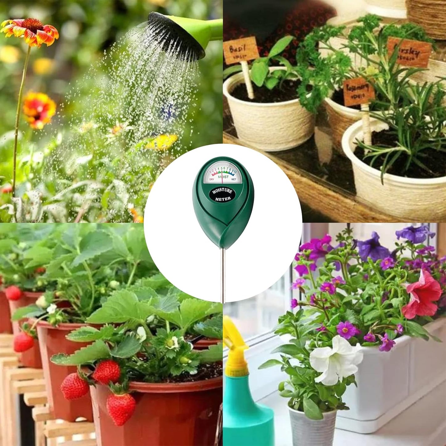 Skiennix Soil Moisture Meter - Extended Long Probe Hygrometer for Indoor/Outdoor Plant Care - 2 Pack (Green)