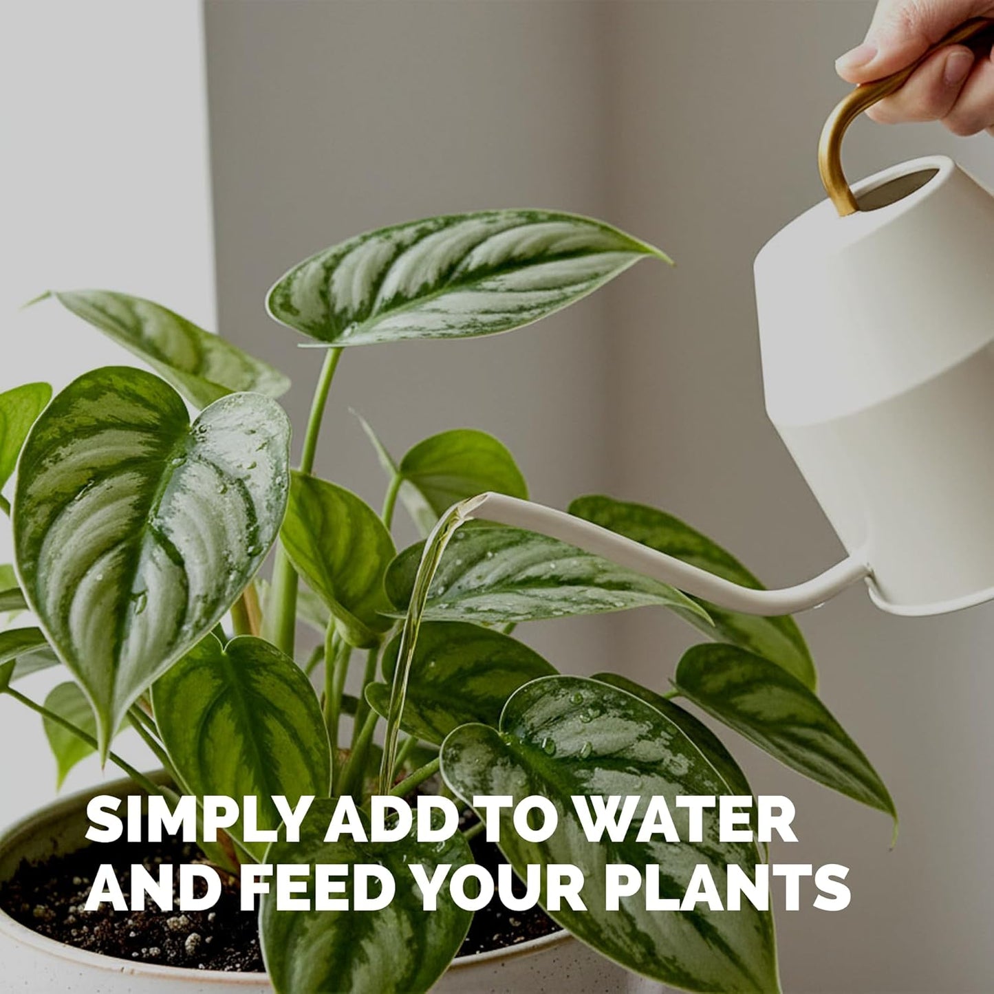 Skiennix Tropical Plant Fertilizer - Liquid Plant Food for Lush Growth & Stronger Roots, 8 oz