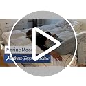 King Mattress Topper White Cooling Plush Bed Pillow Top - Marine Moon