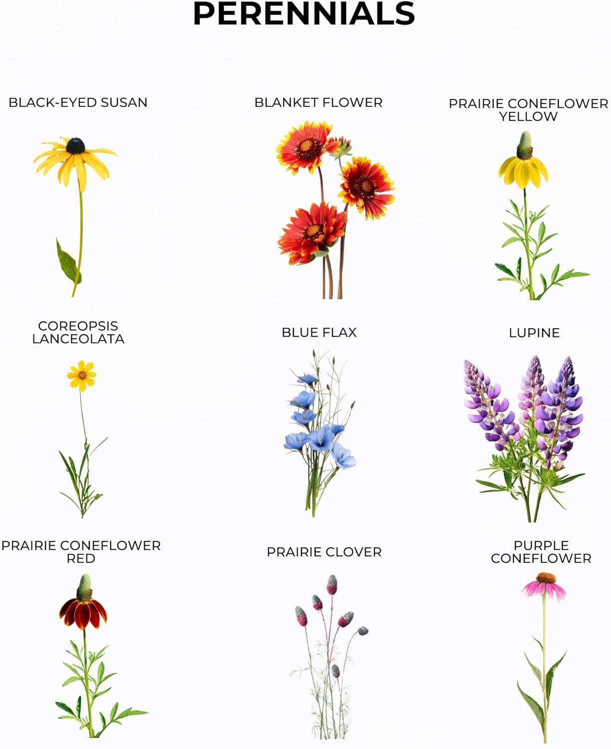 Tactiko Garden Wildflower Seeds Mix - 120,000+ Annual & Perennial Seeds for Pollinators | 4 oz, Covers 600 sq ft