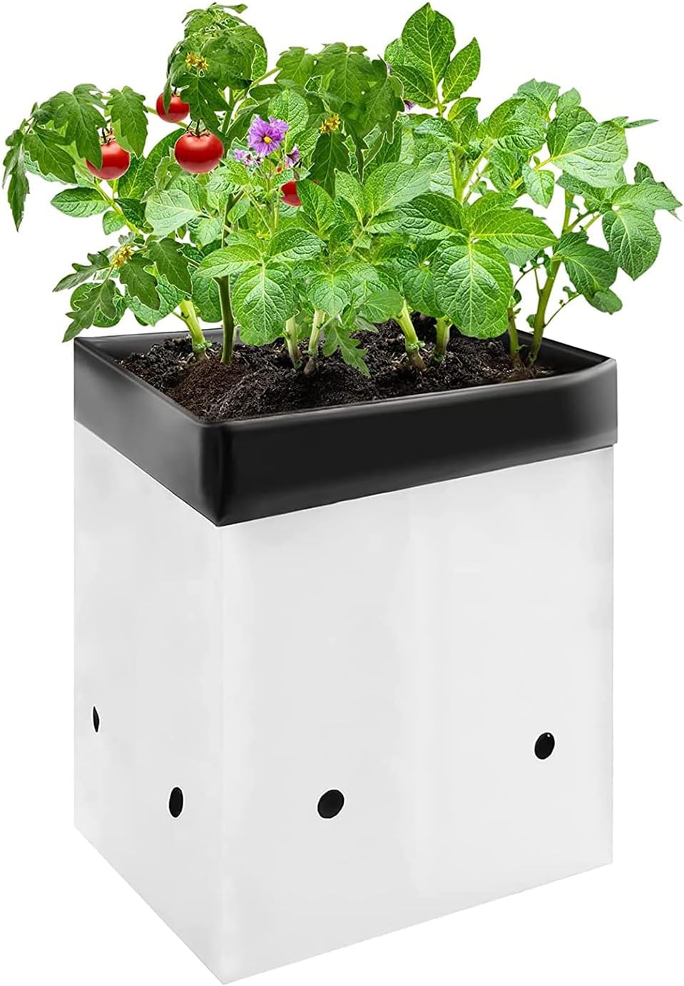 VIVOSUN 50-Pack Grow Bags - Durable 1 Gallon Black-and-White Panda Film Containers for Seedlings