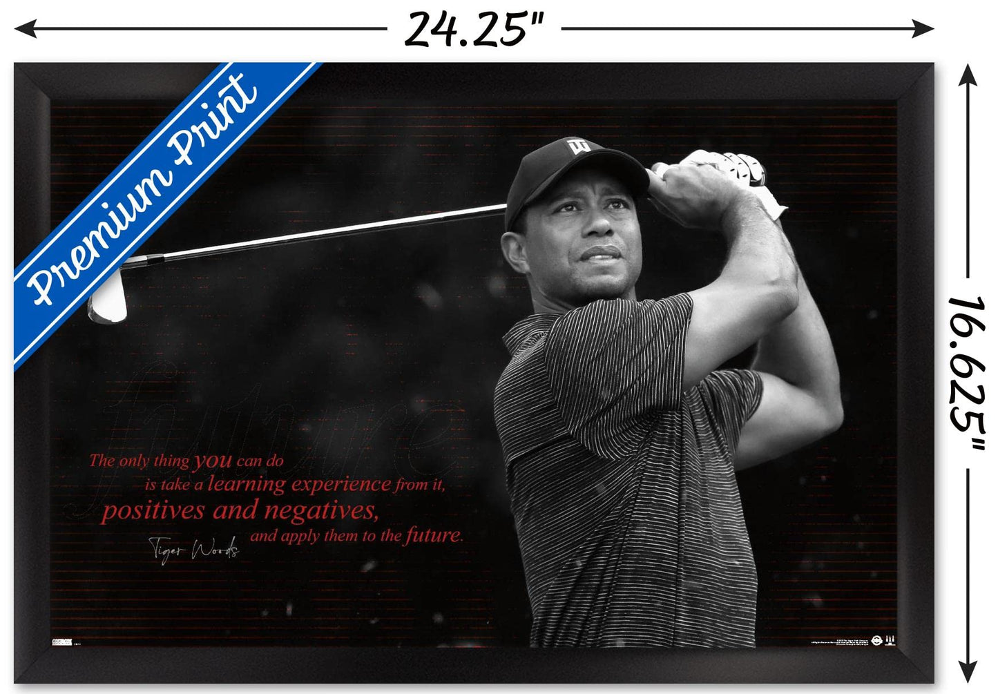 Trends International Tiger Woods - Future Wall Poster, 14.725" x 22.375", Black Framed Version