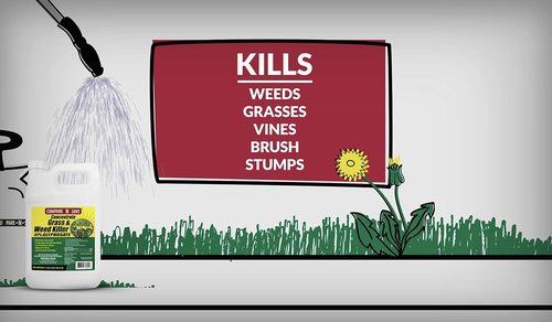 Compare-N-Save Glyphosate Concentrate - Effective Grass & Weed Killer Herbicide | 32 Ounce