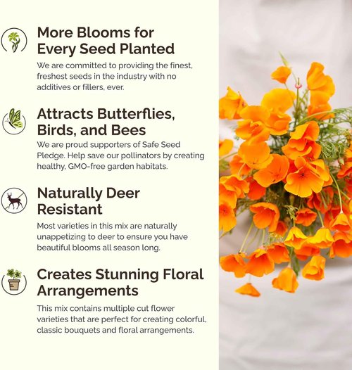 Eden Brothers Wildflower Mixed Seeds - Deer Resistant, Attracts Pollinators | 1/4 lb, 120,000+ Seeds