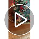 FreshCut Paper Twinkling Poinsettia Light-Up Tree - USB Rechargeable Holiday Decor