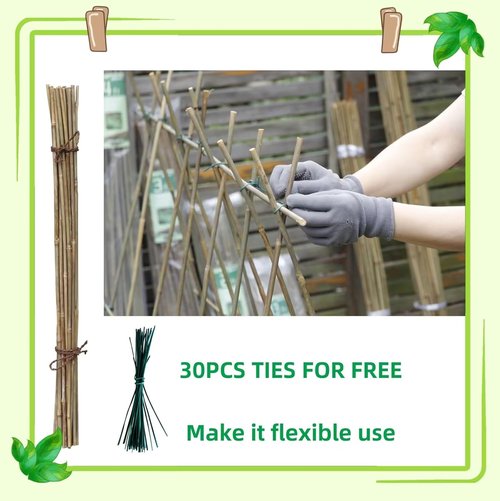Bamboo Garden Stakes by [Brand Name] - 50 Pcs 4.0 FT Natural Plant Support for Tomatoes, Beans & Flowers