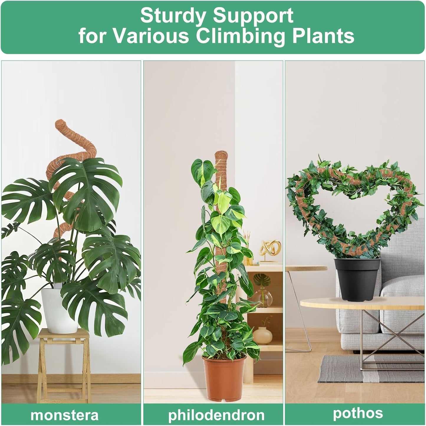 Moss Pole 3-Pack by [Brand Name] - 50 Inch Tall Support for Monstera & Climbing Plants | Coco Coir Stake Kit
