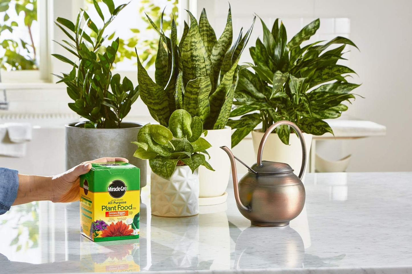 Miracle-Gro Water Soluble Plant Food - All-Purpose Fertilizer for Indoor & Outdoor Plants | 1.5 lbs (6-Pack)