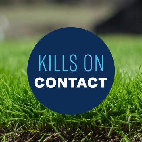 BioAdvanced Extreme Crabgrass Killer - Ready-to-Spray Formula for 5,000 Sq Ft Coverage, 32 oz