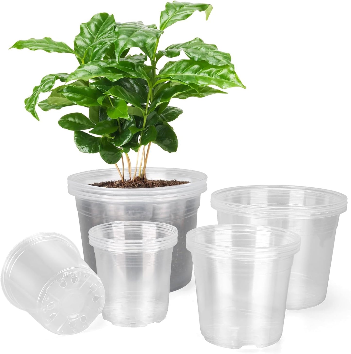 Skiennix Large Clear Nursery Pots - 10/8/6/5 Inch with Drainage Holes | 16 Pack Plastic Plant Pots for Succulents and Seedlings