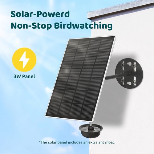 Birdfy Smart Hummingbird Feeder - Solar Powered With Camera, Live View & Auto Record, 14oz, Perfect Gift for Bird Lovers