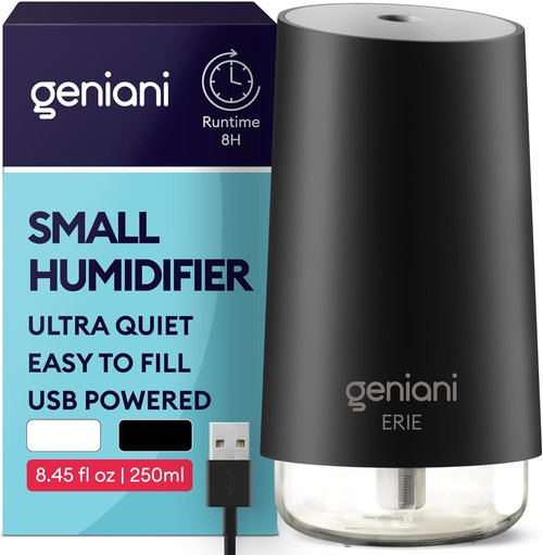 Geniani Portable Cool Mist Humidifier - USB Powered Desktop Unit with Auto Shut Off & Night Light - Black, 0.25L
