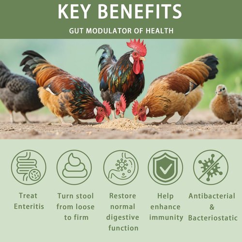 Chicken Gut Modulator - Natural Anti-Diarrhea Powder for Poultry | 10 oz Supplement to Control Diarrhea