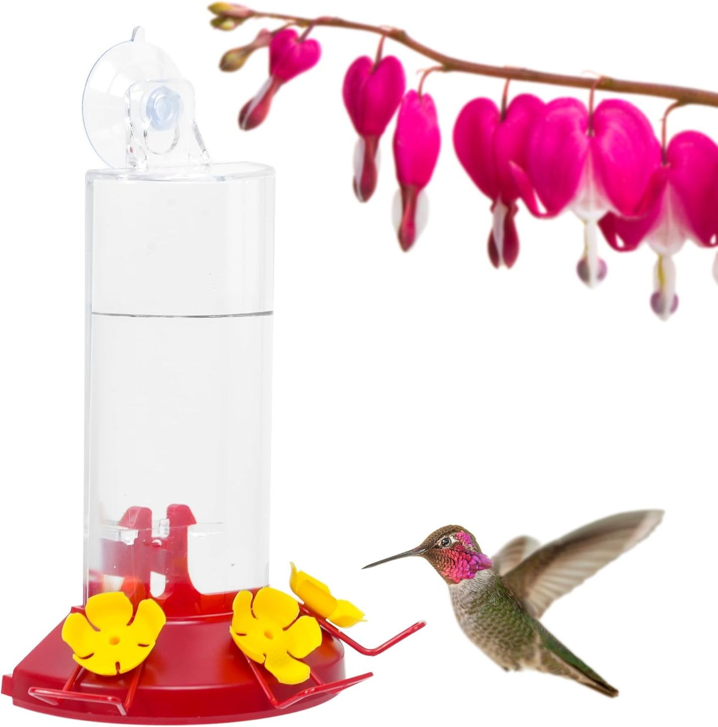 Perky-Pet Hummingbird Feeder - 8 oz Plastic Window Mount with Perches for Outdoor Use