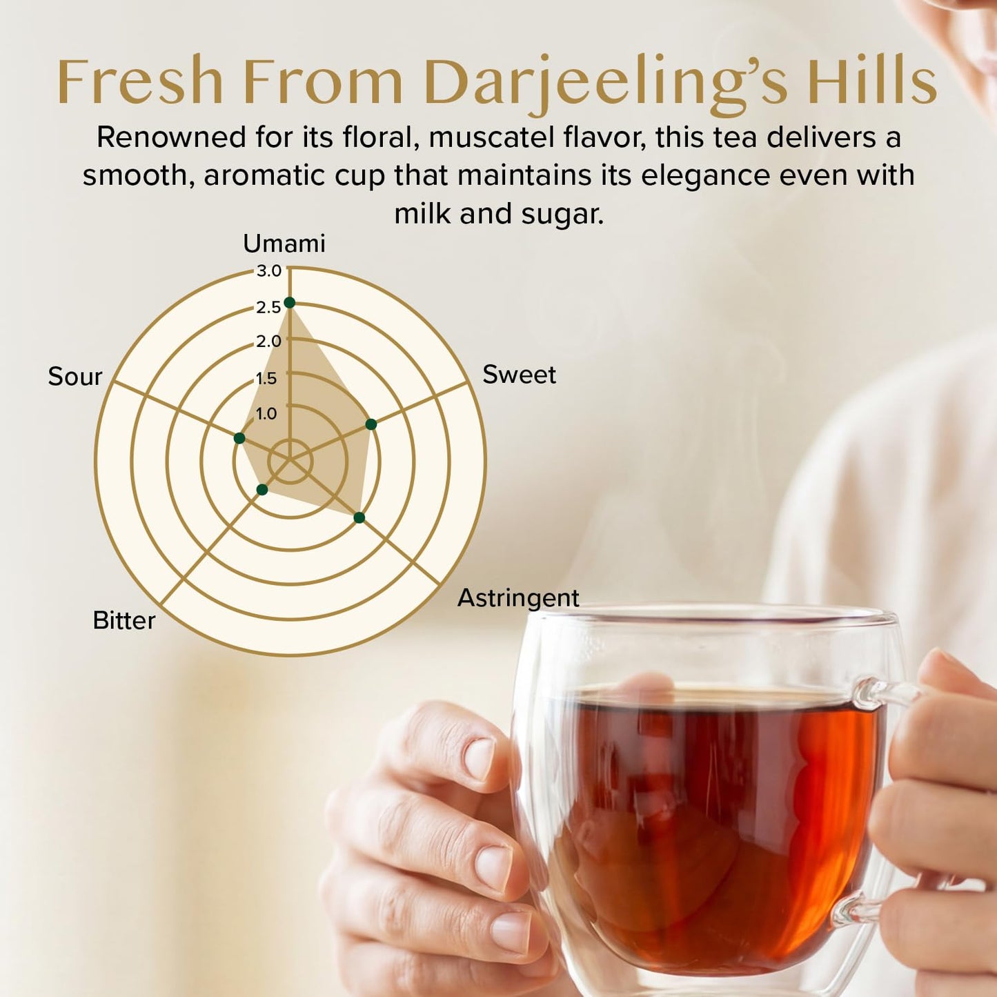 VAHDAM, Darjeeling Tea Leaves From Himalayas 340g (170+ Cups) Pure Unblended Darjeeling Black Loose Leaf Tea | Packed & Shipped Direct From Source In India