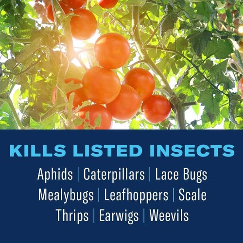BioAdvanced Organics Tomato & Vegetable Bug Spray - Ready-to-Use 24 oz for Effective Pest Control