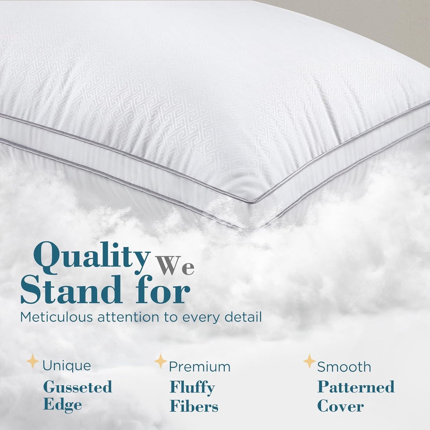 Viewstar Queen Size Pillows - Set of 2 Hotel Quality Down Alternative for All Sleep Positions | White