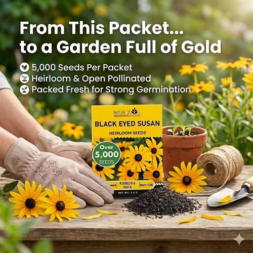 Black Eyed Susan Seeds - 5000 Non-GMO Heirloom Seeds for Vibrant Garden Blooms