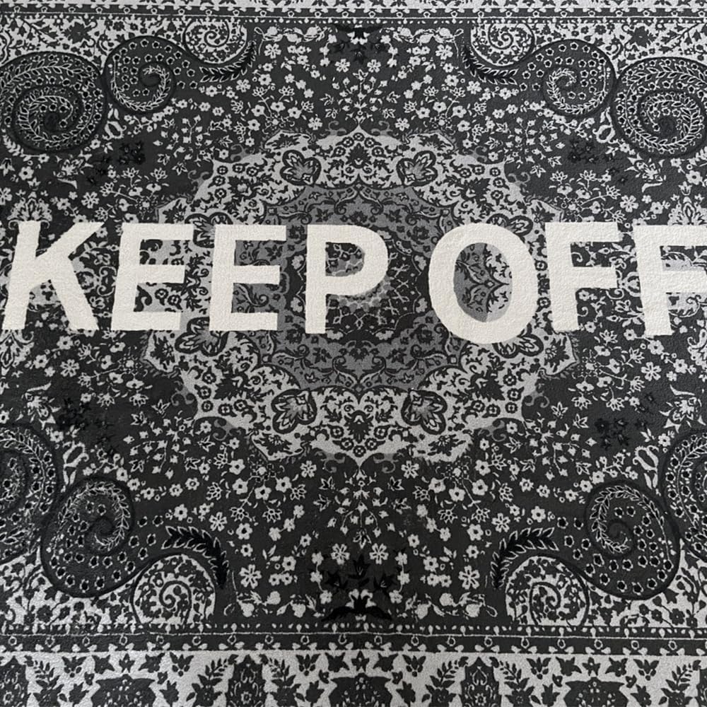 **KEEP OFF Rug - Classic Paisley Cashmere Area Rug | Artistic Home Decor - 20" x 32" Doormat**